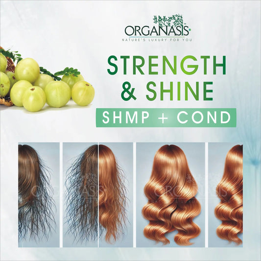 Organic Amla Reetha Shampoo
