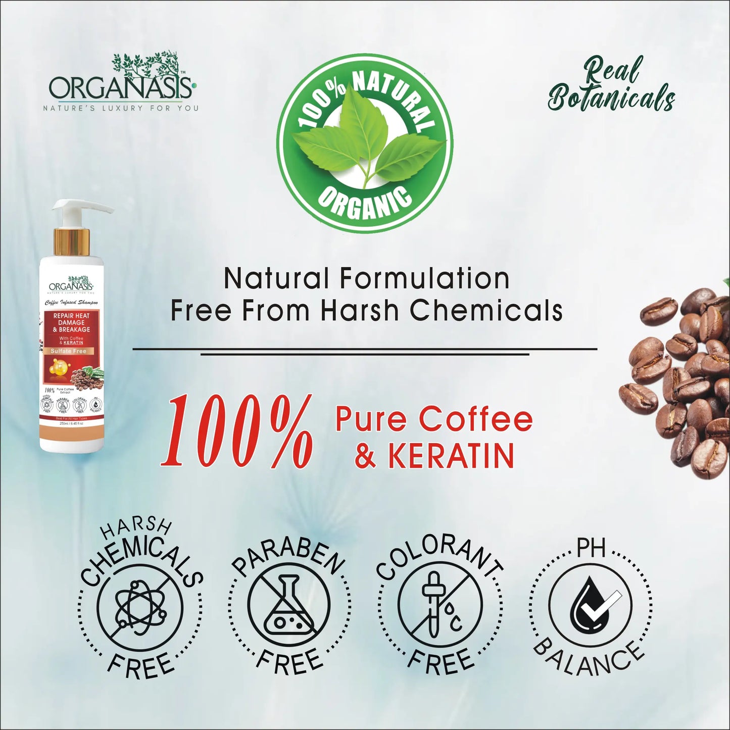 Organic Coffee Shampoo