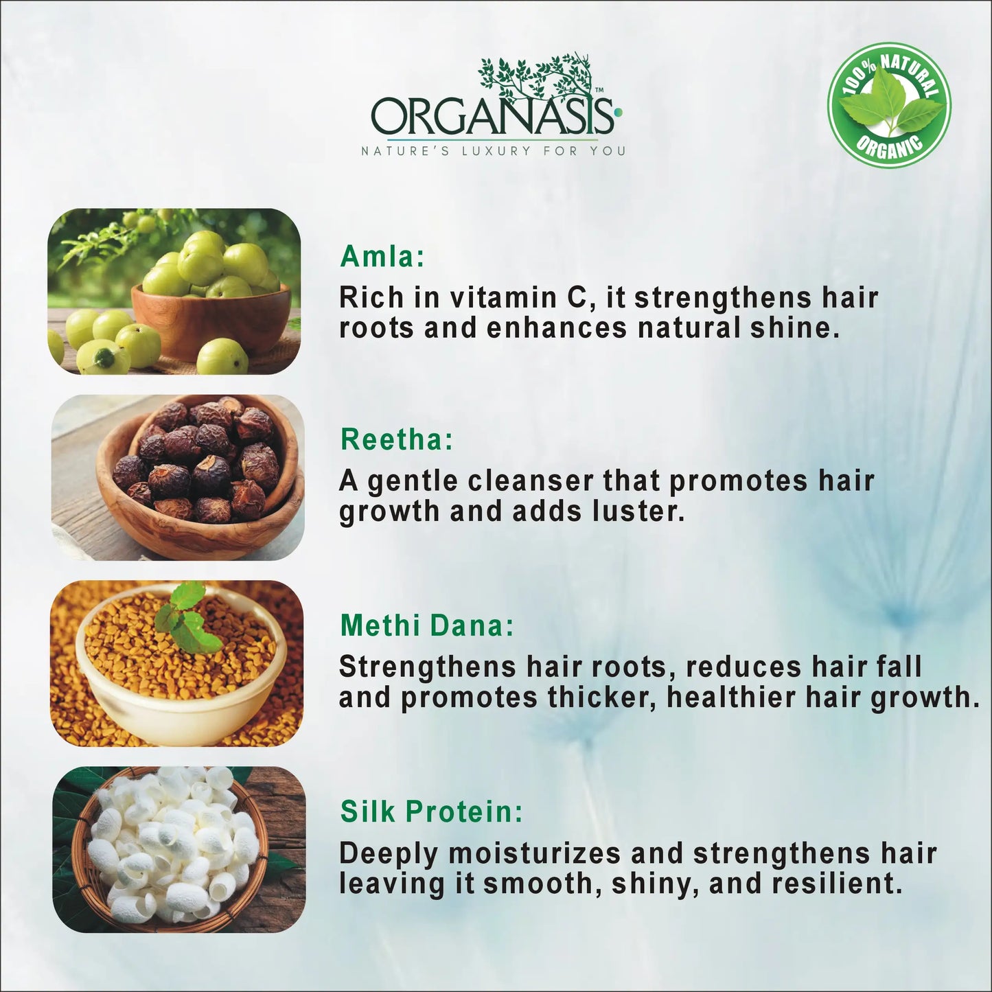 Organic Amla Reetha Shampoo