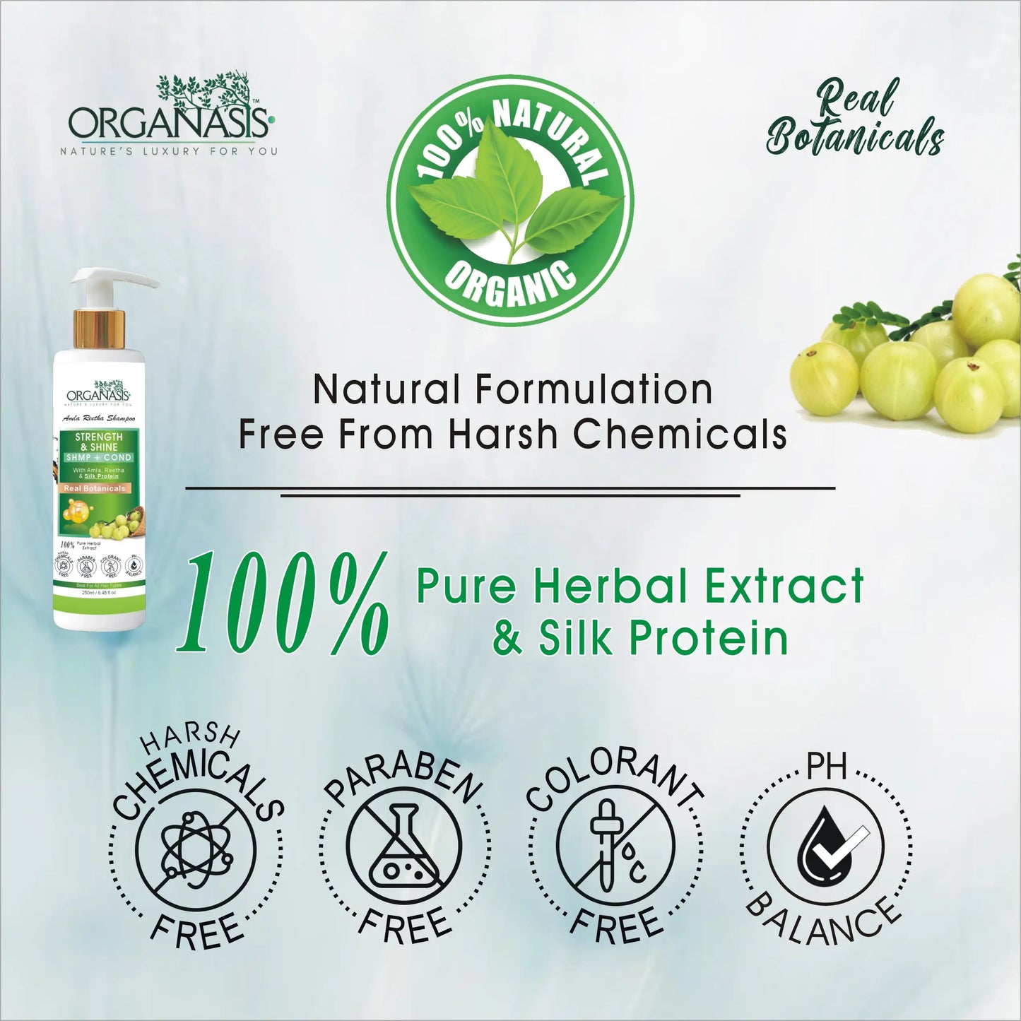 Organic Amla Reetha Shampoo
