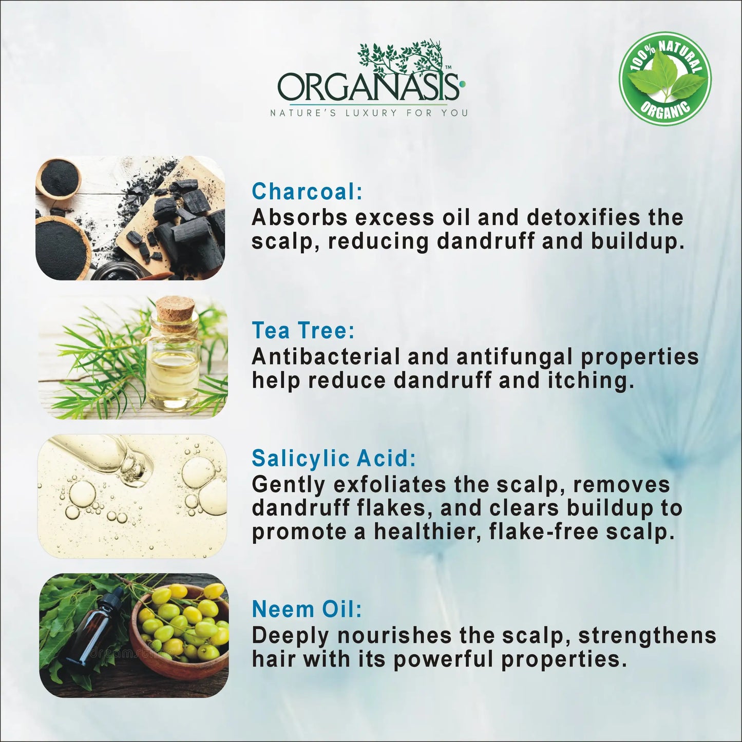 Organic Charcoal Shampoo