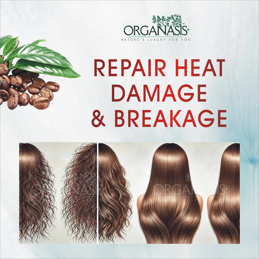 Organic Coffee Shampoo