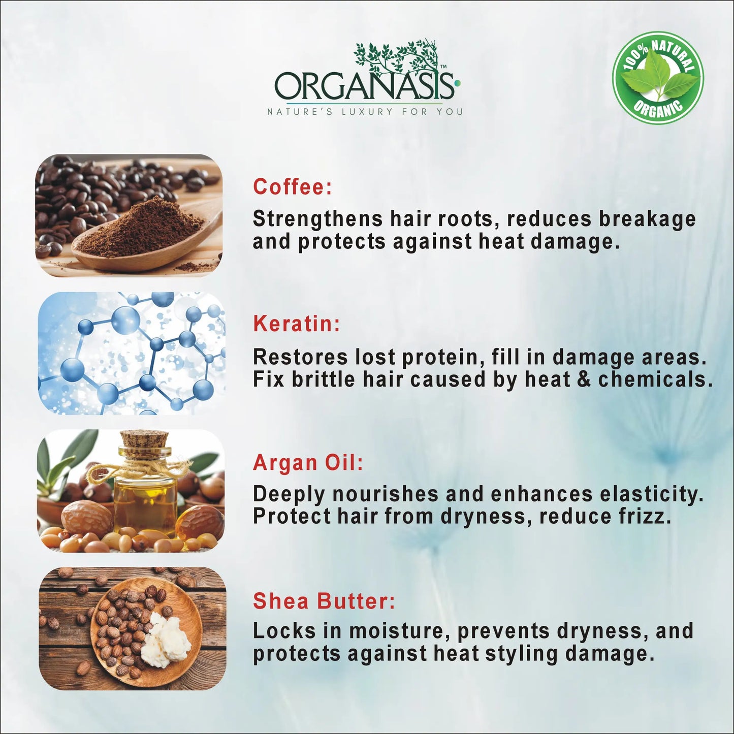 Organic Coffee Shampoo